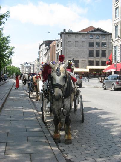 Vieux Montreal 008.JPG